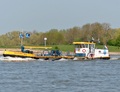 De Zwaantje 3 op de Waal bij Zaltbommel.