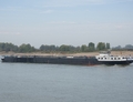 Savannah afvarend op waterstand geladen thv Druten Waalkm 903