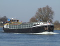 Catharina bij Dieren op de IJssel.