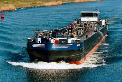 Romy bij Sint Philipsland