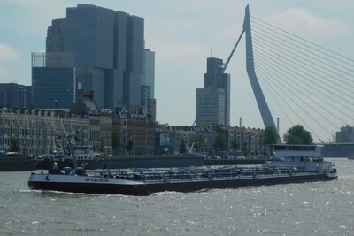 Speelman in Rotterdam.