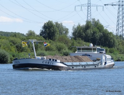 Corja op het Amsterdam Rijnkanaal.