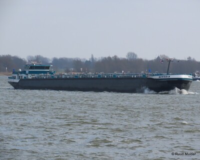Nerodia afvarend op de Rijn bij Emmerik.