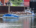 Arison bij Schepenlift Scharnebeck.