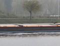 Ancor op het Zeekanaal Gent - Terneuzen
Veer Terdonk.