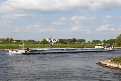 Buche op de IJssel in Zutphen.