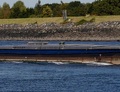  Concorde op het kanaal door Zuid-Beveland, bestemming sluizen van Hansweert.