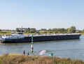 Wilson op de IJssel in Zutphen.