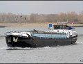 Estero Nijmegen.