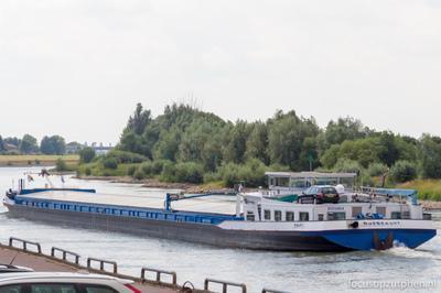 Ravi op de IJssel in Zutphen.
