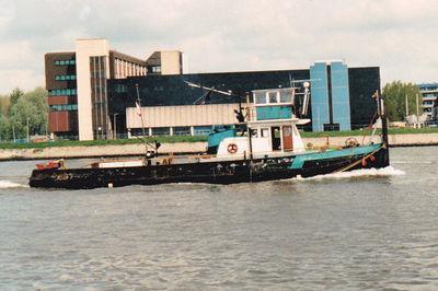 Piranha in Dordrecht.
