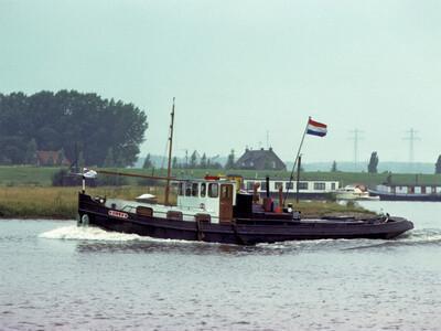 Dilles op de Maas nabij de haven van Roermond.