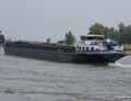 Viper opvarend op de IJssel bij Bronckhorst.