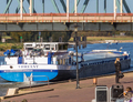 Treant op de IJssel in Zutphen.