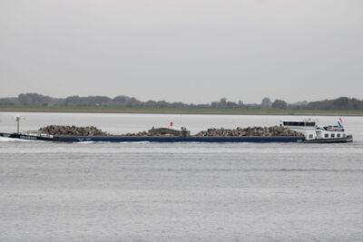 Colorado op de Oosterschelde.