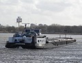 Sterrebos bij de Amsterdamsebrug.