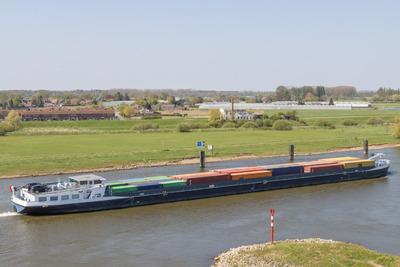 Scopus op de IJssel in Zutphen.