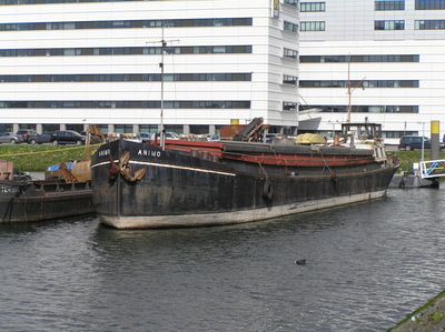 Animo Waalhaven Rotterdam.