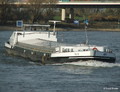 Alfa opvarend op de Rijn.