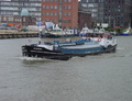Gymnura Parkhaven Rotterdam.
