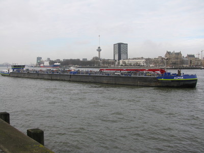 Alpha bij de Erasmusbrug-Rotterdam.