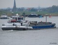 Krabbegeul afvarend op de Rijn bij Emmerik.