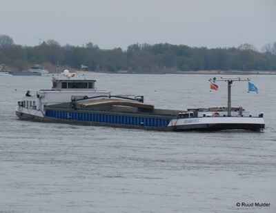 Krabbegeul afvarend op de Rijn bij Emmerik.