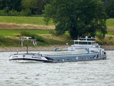 Black Pearl Rhein bei Stürzelberg.