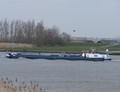 Orca Streefkerk.