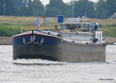 Westropa opvarend op de IJssel bij Bronckhorst.