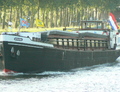 Schavuit Amsterdam-Rijnkanaal.