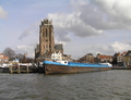 Ostrea Dordrecht.