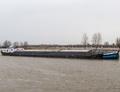 Elisa op de IJssel in Zutphen.