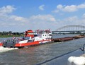 Veerhaven VII- Walrus in Nijmegen