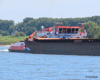 Veerhaven VII - Walrus bij Tolkamer.