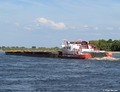 Veerhaven VIII - Nijlpaard bij Emmerik.