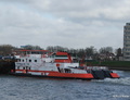 Veerhaven VIII - Nijlpaard bij Hardinxveld-Giessendam.