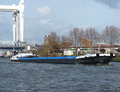 Vios Dordrecht.