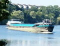 Loyaute Kelsterbach.