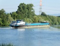 Loyaute Kelsterbach.