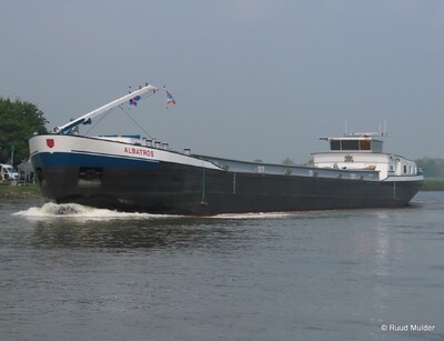 Albatros opvarend op de IJssel bij Bronckhorst.