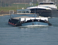Pia opvarend bij Xanten am Rhein.