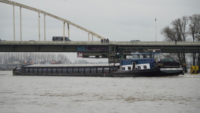Pia tijdens hoog water op de IJssel bij Deventer.

