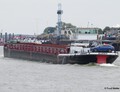 Alasco op de Rijn.