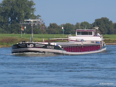 Ferox opvarend op de IJssel bij Bronckhorst.