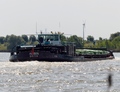 Albis op de Rijn bij Xanten.