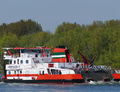 Veerhaven IX- Dolfijn op de Oude Maas.