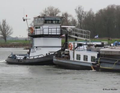 Sterna op de IJssel bij Bronckhorst.