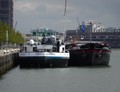 Commeare Rijnhaven Rotterdam.