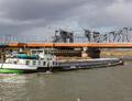 Dena op de IJssel in Zutphen.